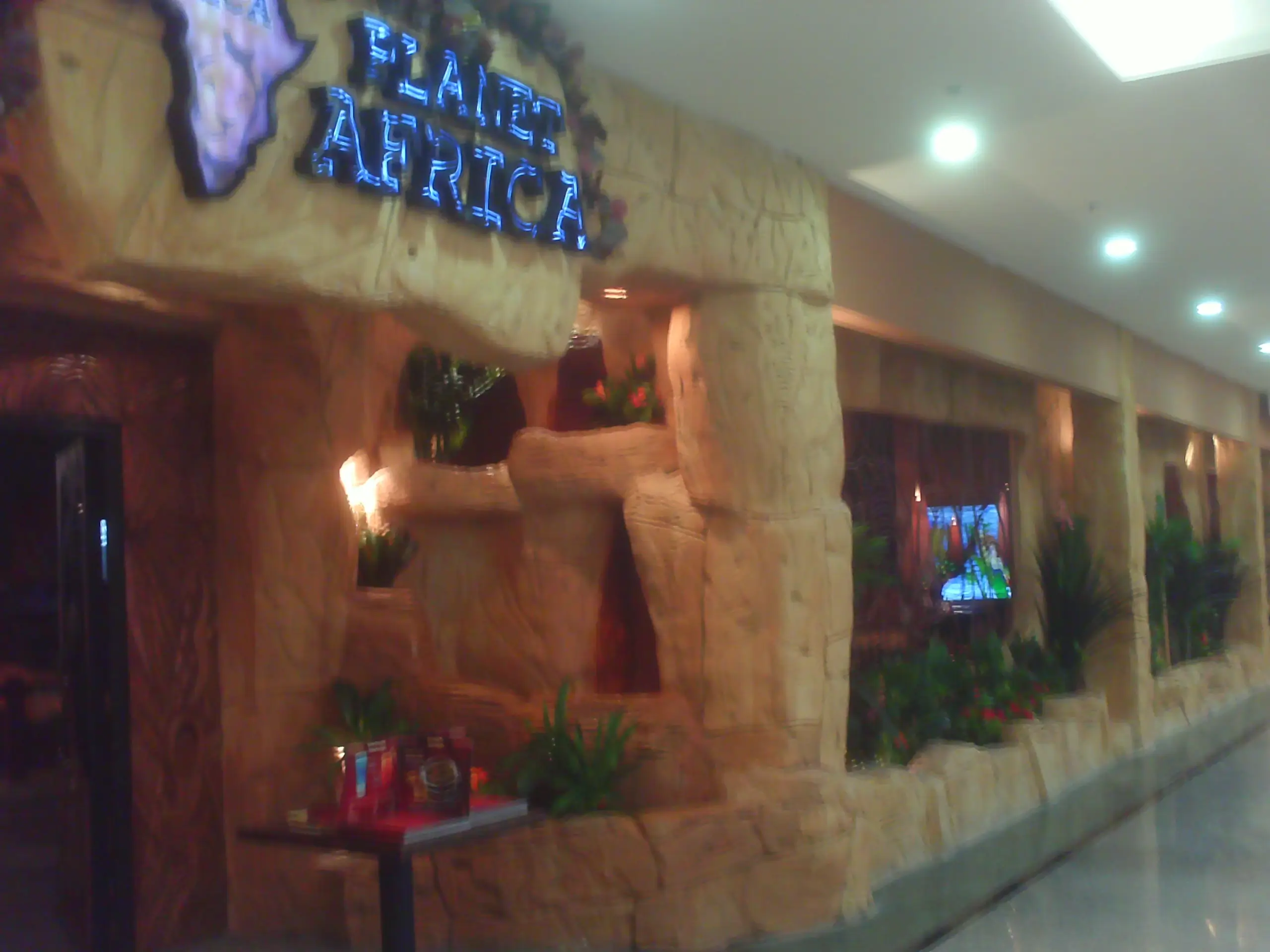 Archer | Planet Africa | retail